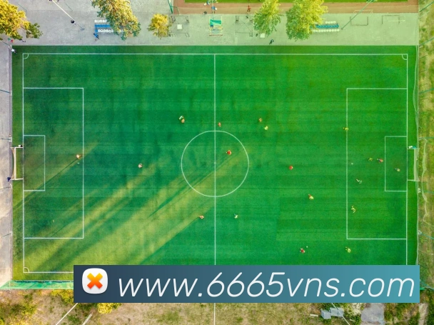 电竞数据
